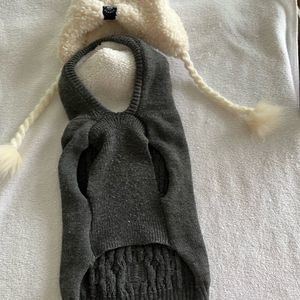 Dog sweater and trapper hat.